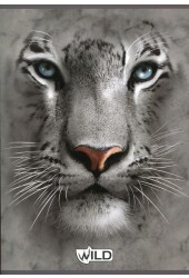 Zeszyt A5 Wild w linie 60 kartek Lew