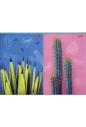 Zeszyt A4 w kratkę 60 kartek Cacti 10 sztuk mix